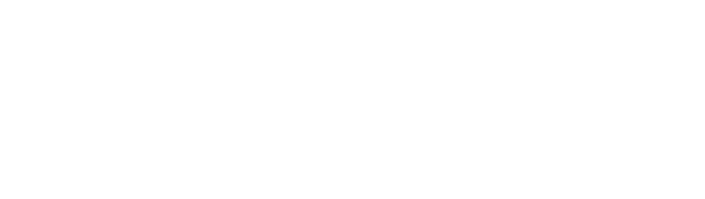 Nexsys logo